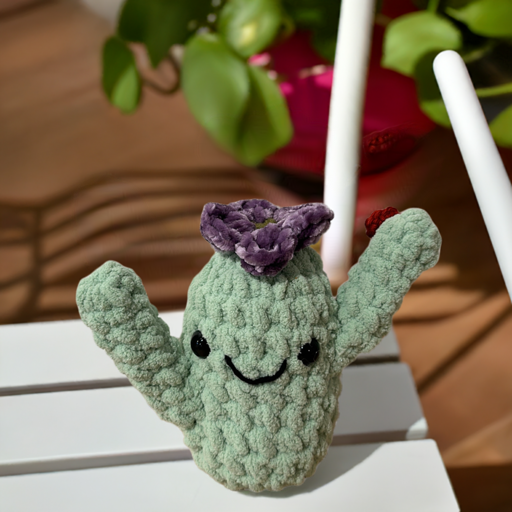 Crochet Cactus