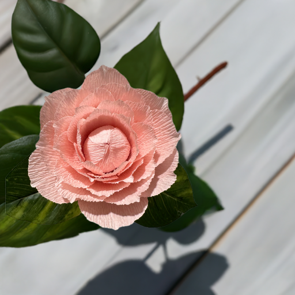 Baby Blush Paper Crepe Hand Crafted Flowers ( gifts, Mother’s Day, valentines, special occasion)