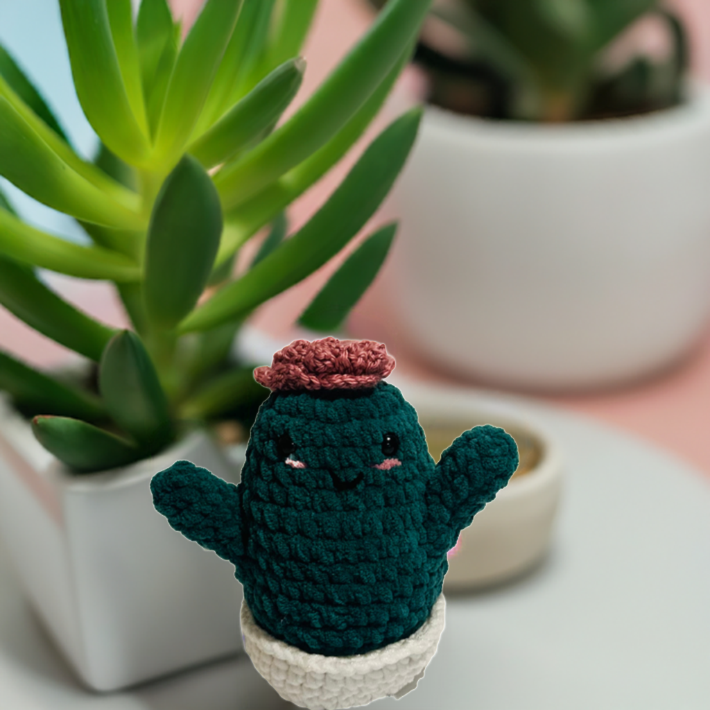 Crochet Cactus, Petal the Prickly