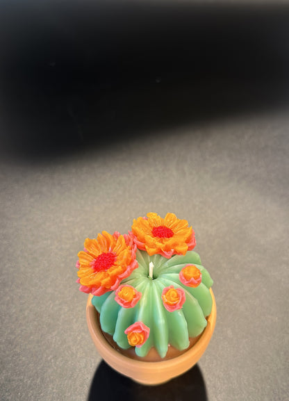 Echo Mini Oasis Cactus Pot Candle