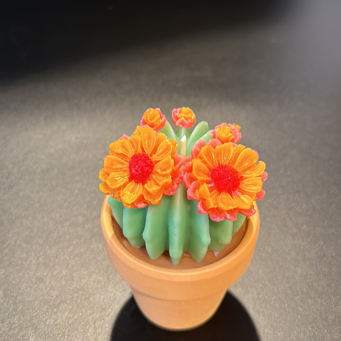 Echo Mini Oasis Cactus Pot Candle