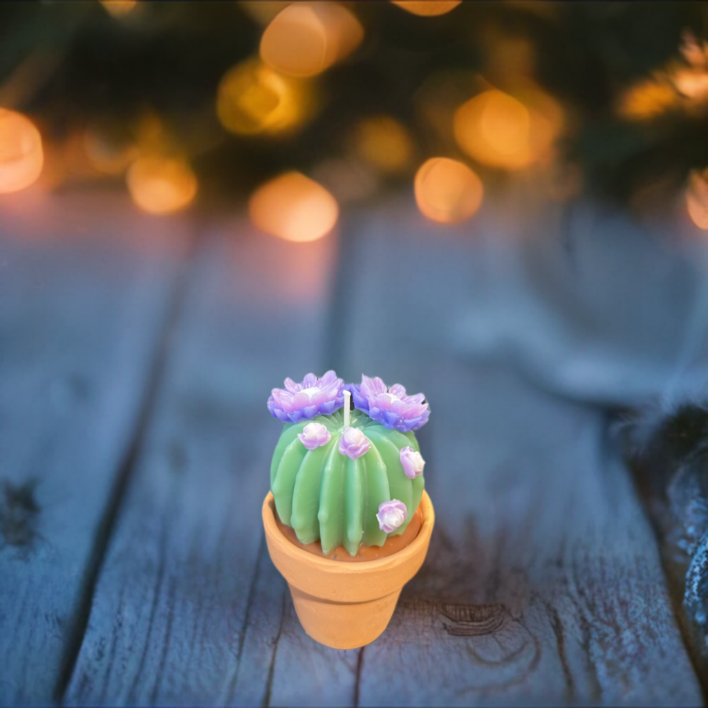 Echo Little Ball Cactus Pot Candle