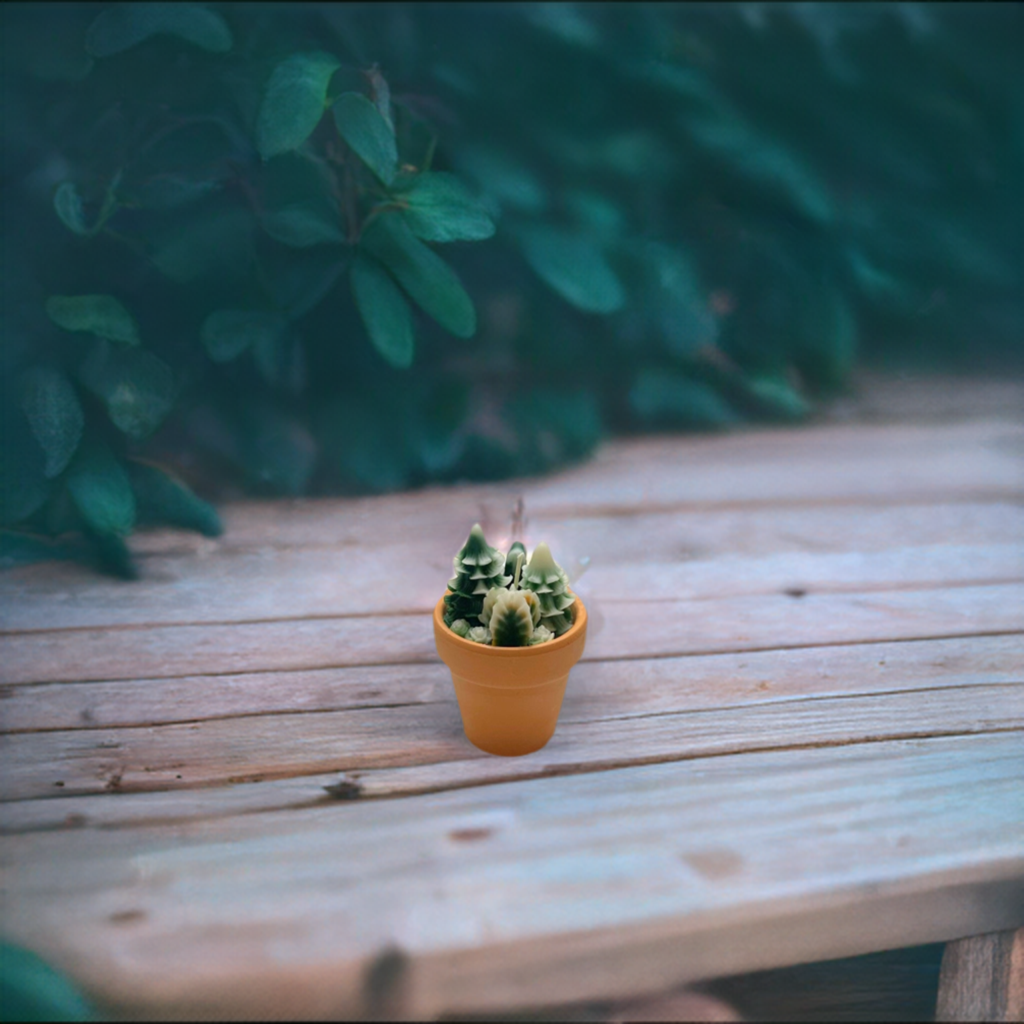 Christmas Candle/ Plant Candle/ Succulent Candle