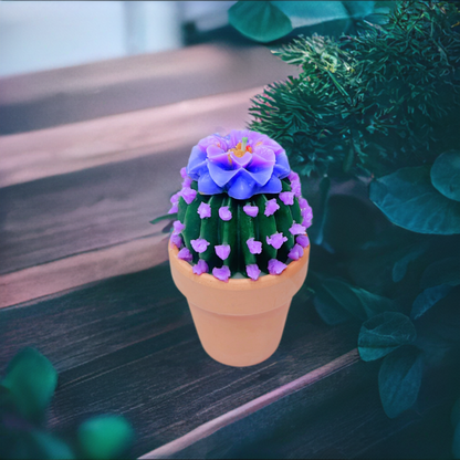 Echo Little Ball Cactus Pot Candle