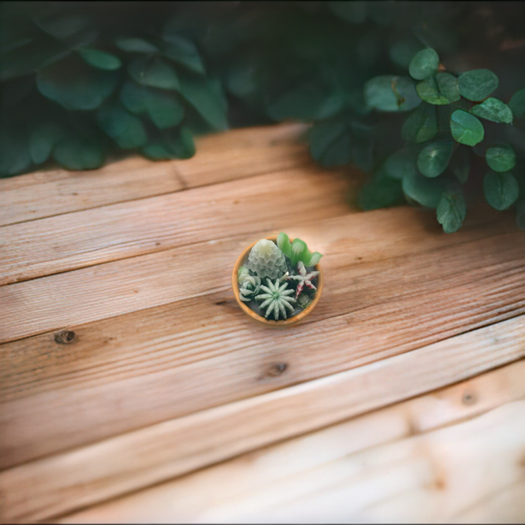 Christmas Candle/ Plant Candle/ Succulent Candle