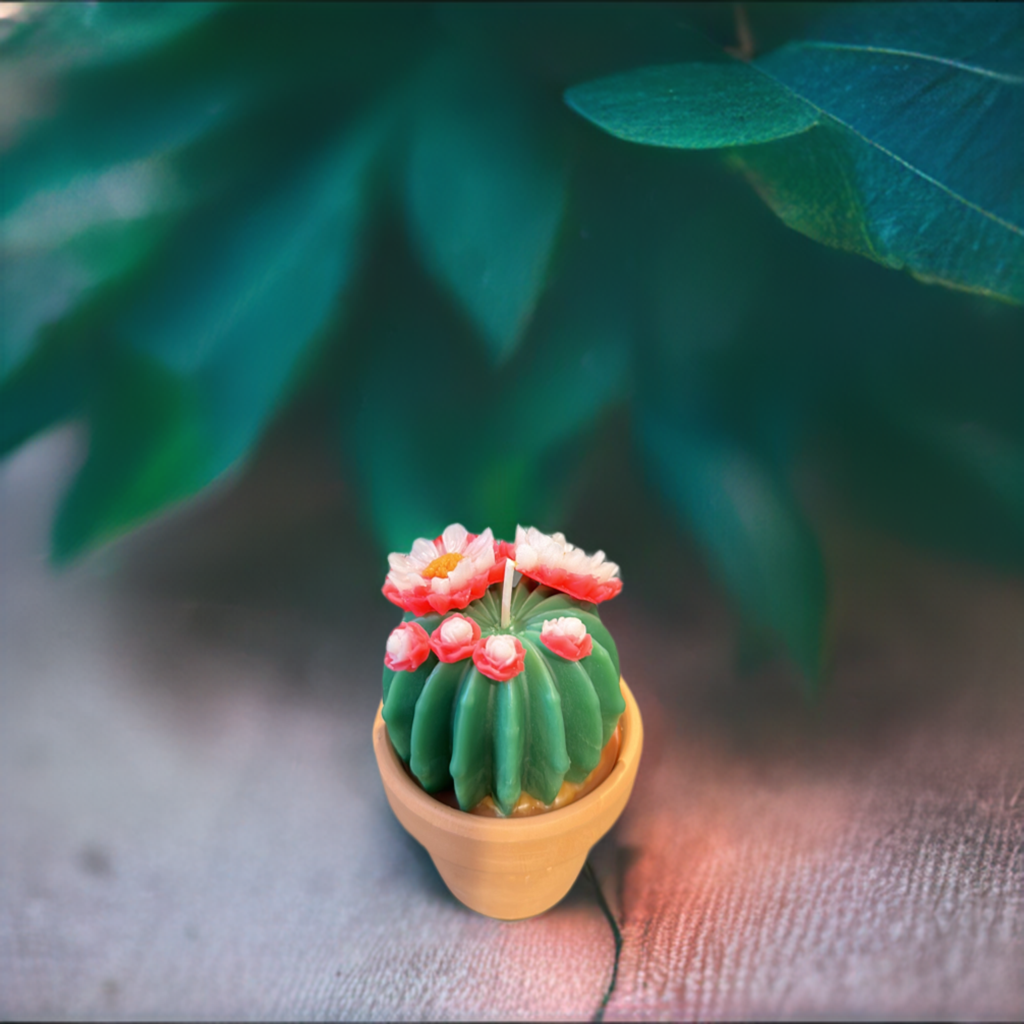 Echo Little Ball Cactus Pot Candle