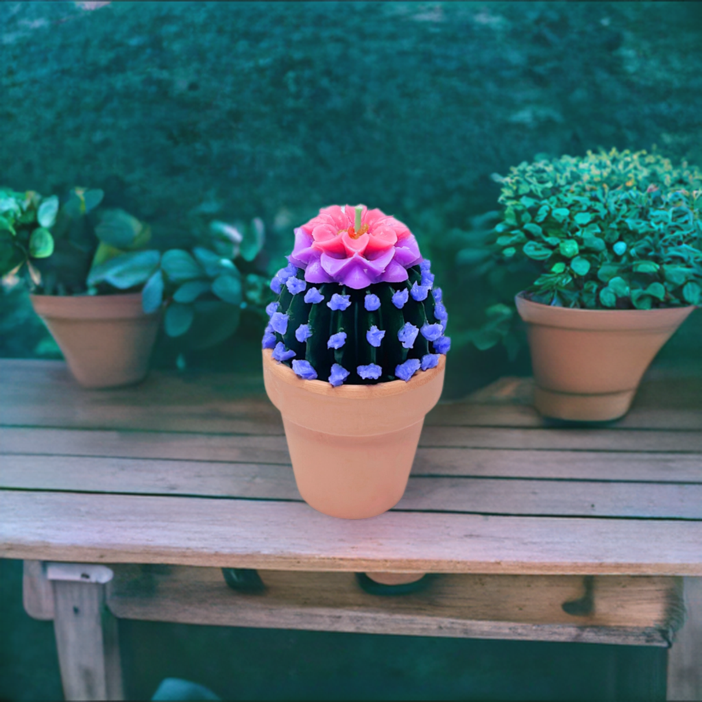 Echo Little Ball Cactus Pot Candle