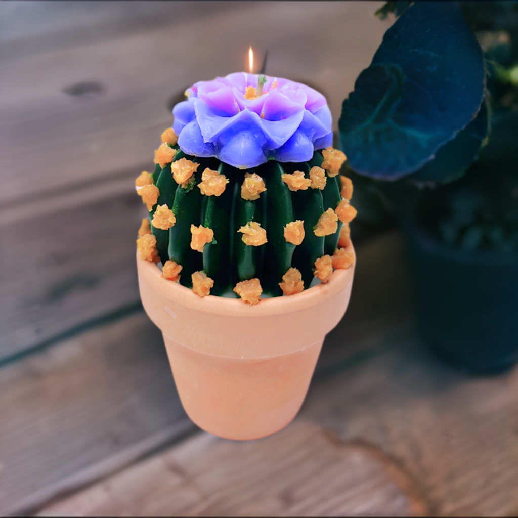 Echo Little Ball Cactus Pot Candle