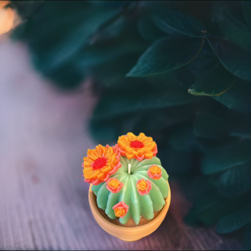 Echo Little Ball Cactus Pot Candle