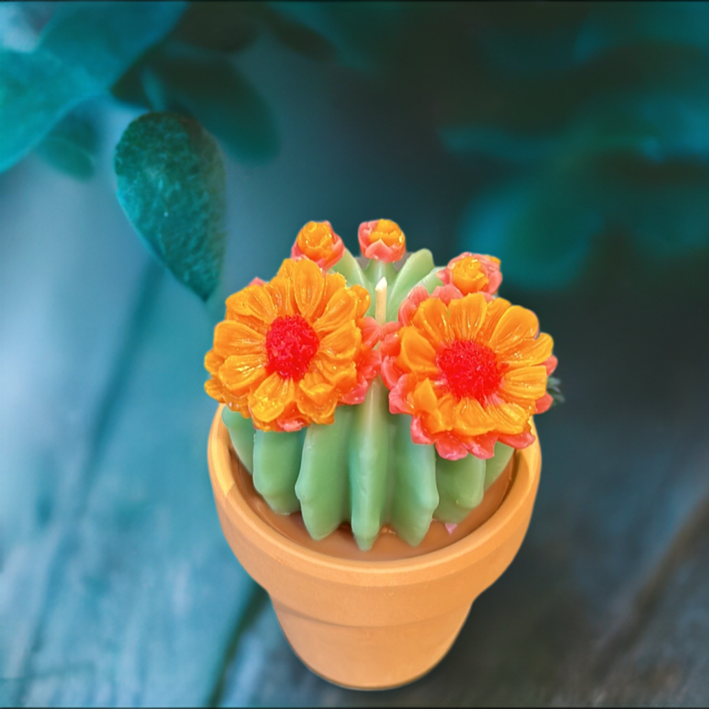 Echo Little Ball Cactus Pot Candle