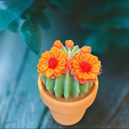 Echo Little Ball Cactus Pot Candle