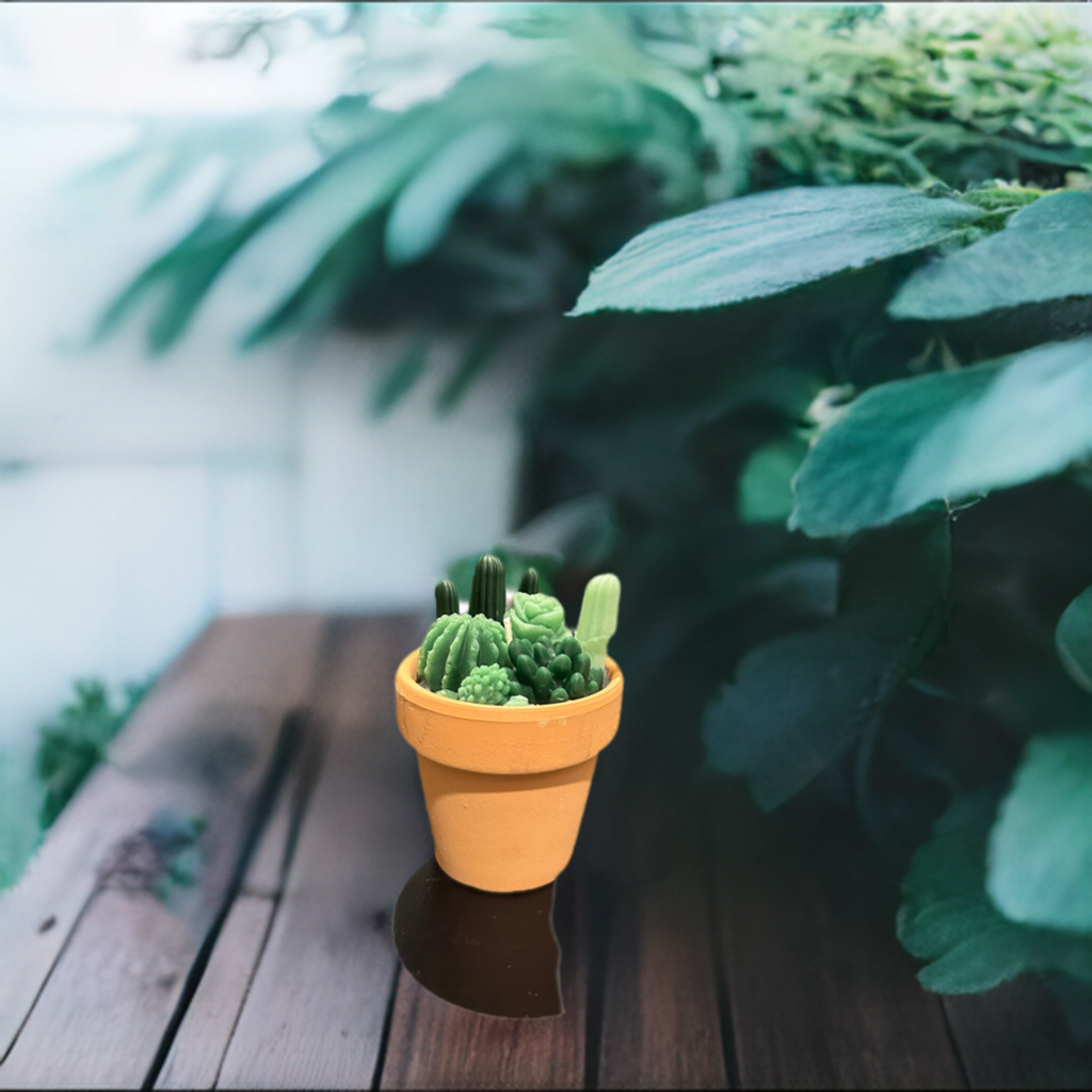 Echo Little Ball Cactus Pot Candle