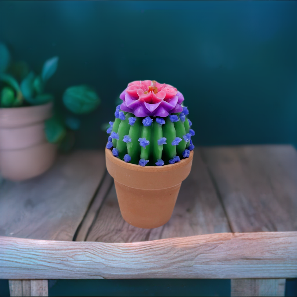 Echo Little Ball Cactus Pot Candle