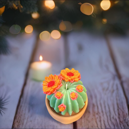 Echo Little Ball Cactus Pot Candle