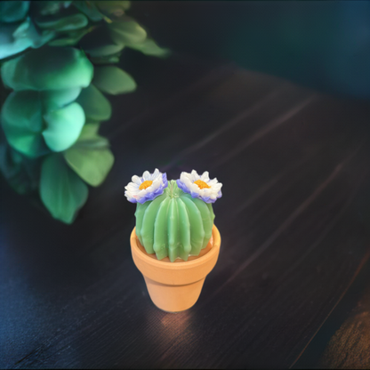 Echo Little Ball Cactus Pot Candle