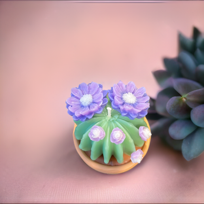 Echo Little Ball Cactus Pot Candle