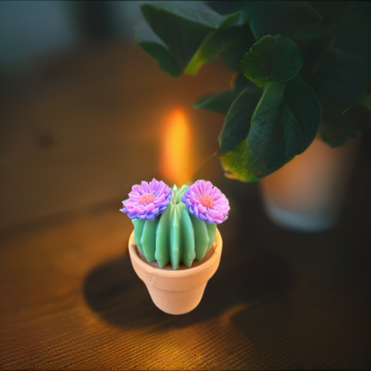 Echo Little Ball Cactus Pot Candle