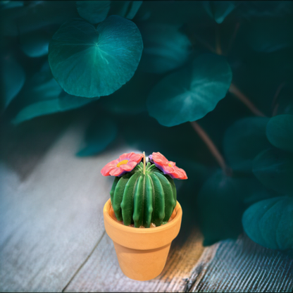 Echo Little Ball Cactus Pot Candle