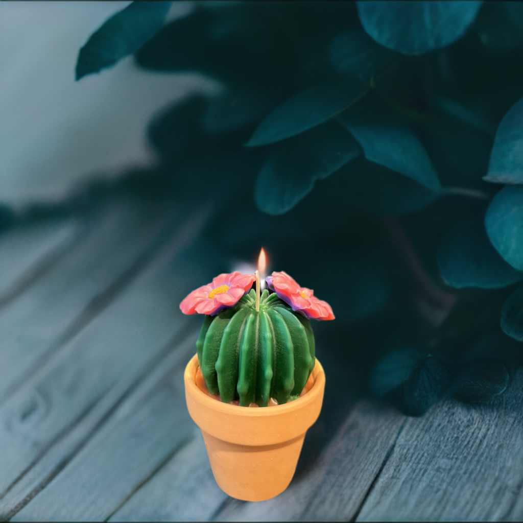 Echo Little Ball Cactus Pot Candle