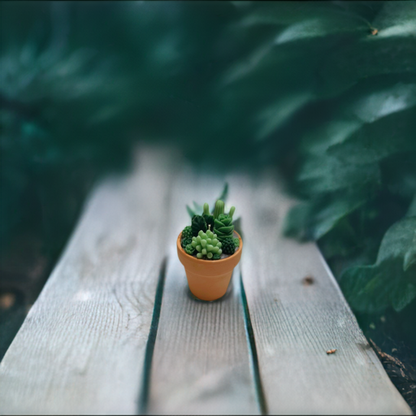 Echo Mini Oasis Cactus Pot Candle